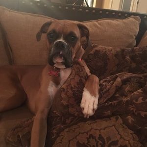 Meet your Posher, Danielle